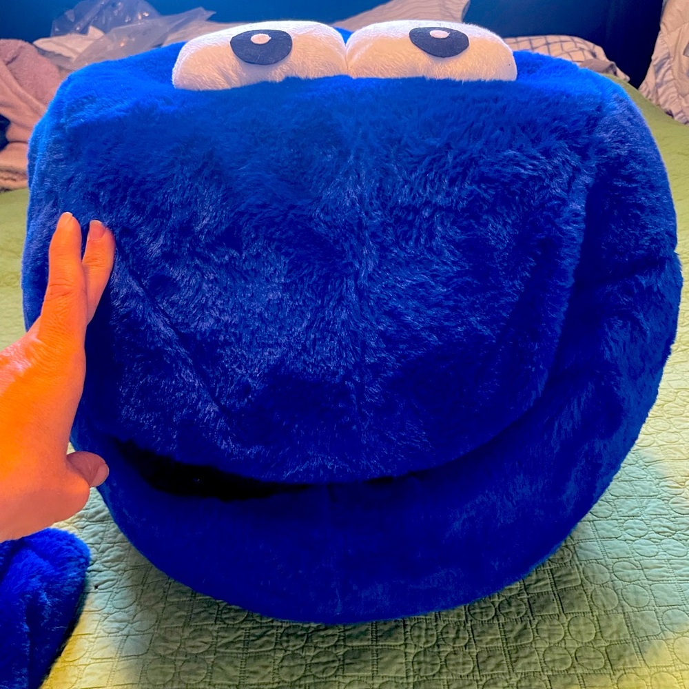 Adult Cookie Monster Costume
